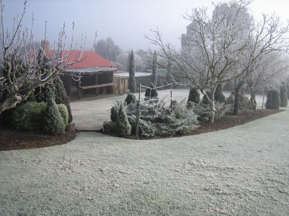 Vineyard Cottage Bnb Gumeracha エクステリア 写真