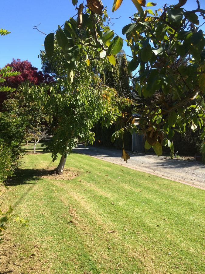 Vineyard Cottage Bnb Gumeracha エクステリア 写真
